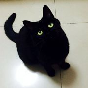 魔一的时光手杖 头像