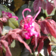 网事如思1 头像