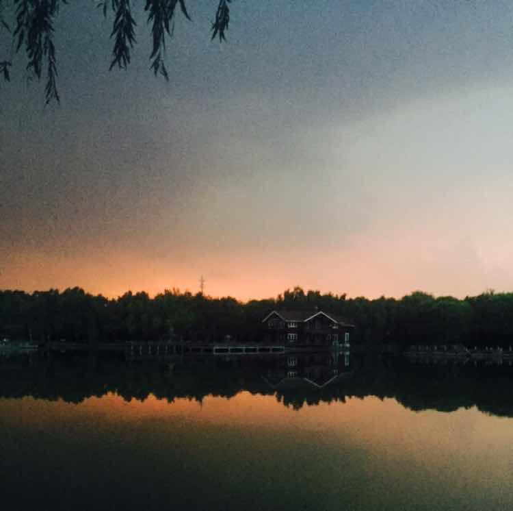 杨金光🌀 头像