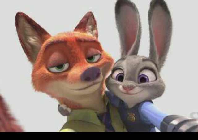 还是那只猫 头像