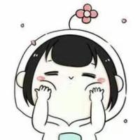 不爱胡萝卜的兔子 头像