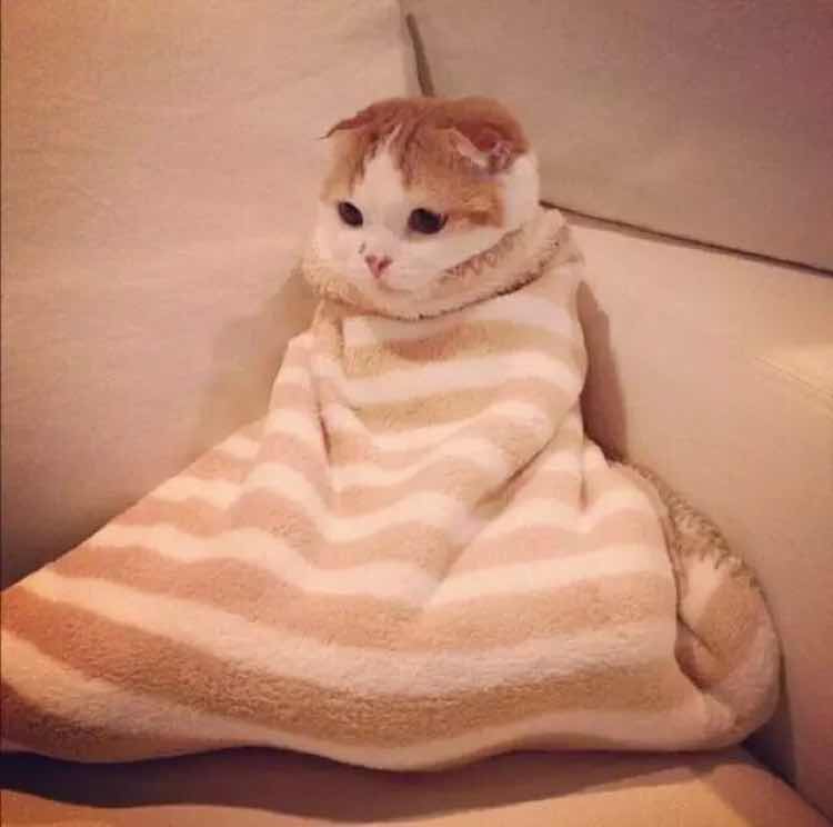 Real__Sansan🙈🙈🙈 头像