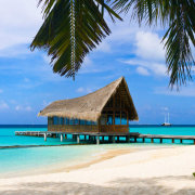 山间之明月1992 头像