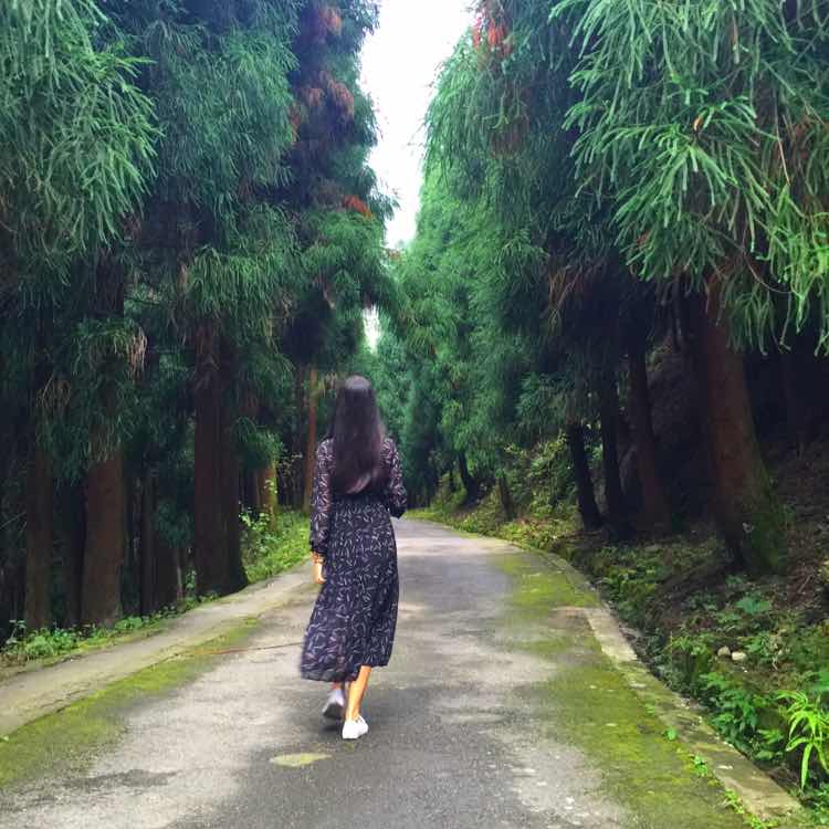 仙女阳阳阳 头像