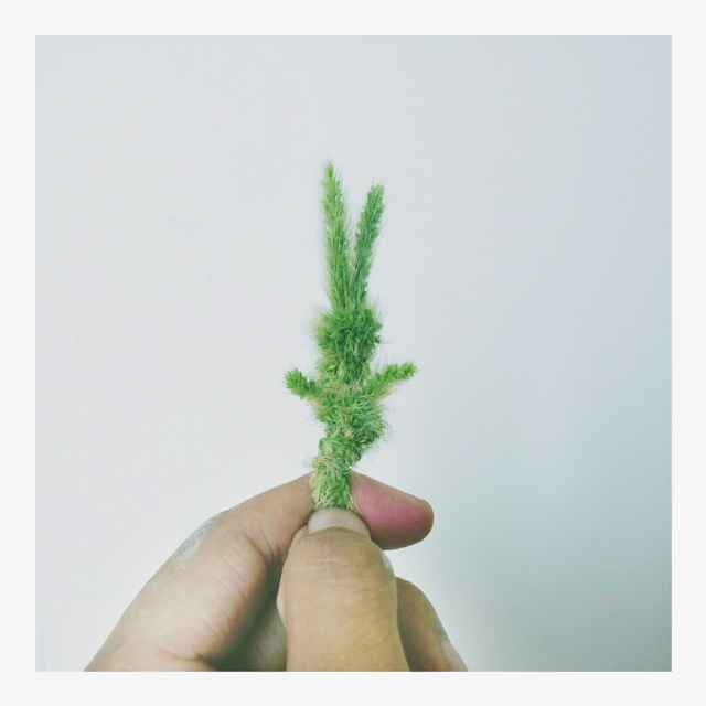 我是稀饭啊 头像