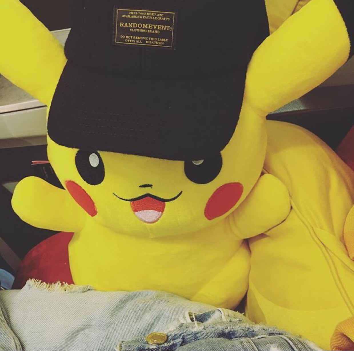 小狸猫scy 🐮 头像