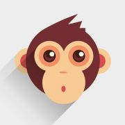 zhouqiang_Wang 头像