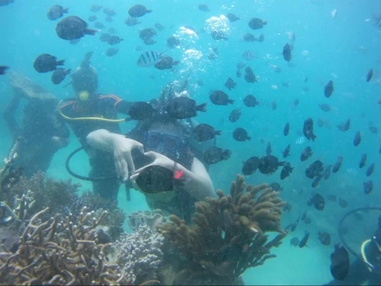 闫珂er♏️ 头像