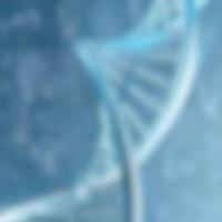 小葱拌两碗 头像