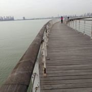 我女儿是MM 头像