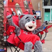 条嘢太狼c 头像