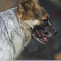 莲花街吴彦祖 头像