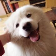 明朗的天才少女哦耶 头像