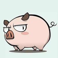小猪丢了幸福 头像