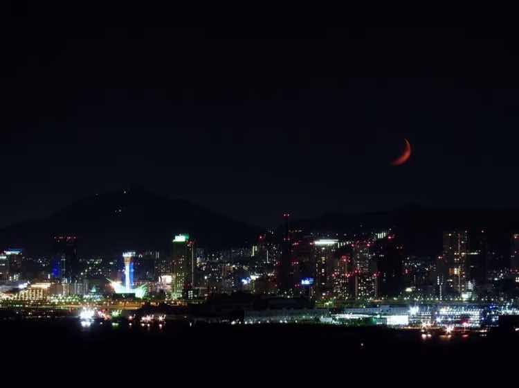 慧行大宝贝 头像