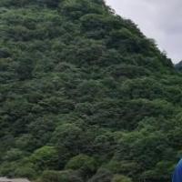 指环王甘道夫 头像