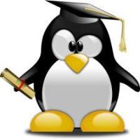 Andy Liang 2016 头像