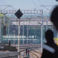 河边钓鱼的懒猫 头像