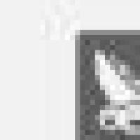 djyassssssssssssss 头像