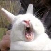 躺着想睡觉1252 头像