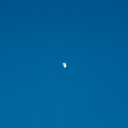 蜂蜜比果珍难喝 头像