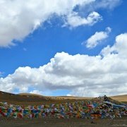 冰砖帮帮忙 头像