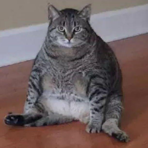 大家爱看拉到了 头像