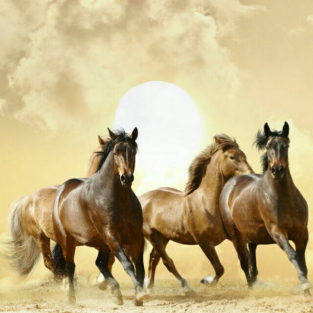 曲鹏_产品经理 头像