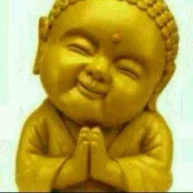 野生…也长… 头像