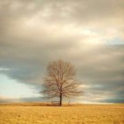 _笑逐顏開_ 头像