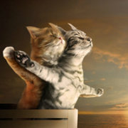 汤圆灬饺子 头像