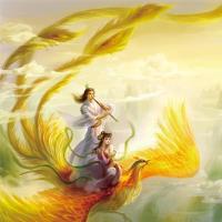 青转紫的梅子酒 头像