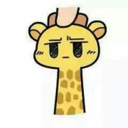 也无风雨也无情_byr 头像