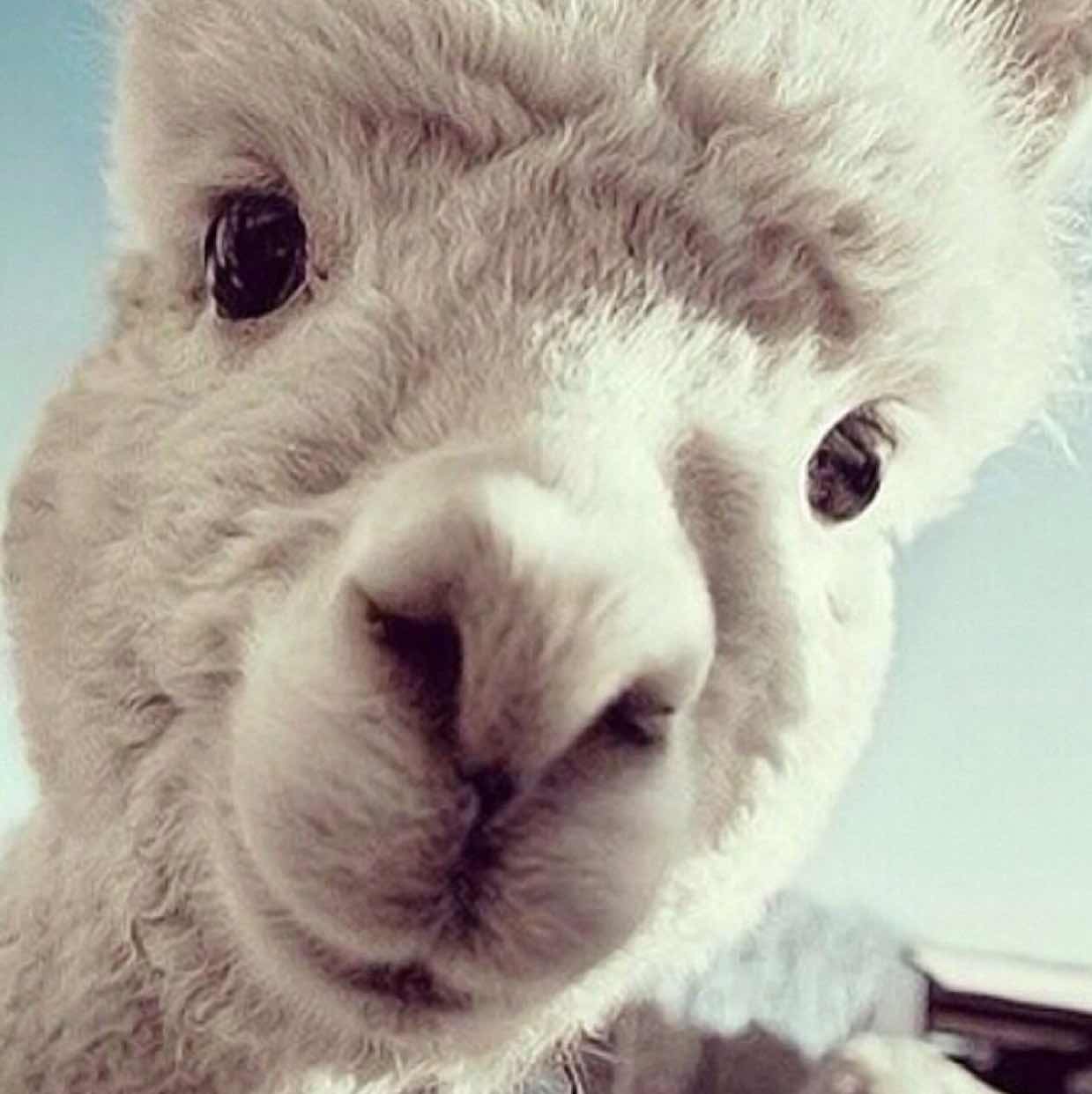 温暖的灵魂 头像