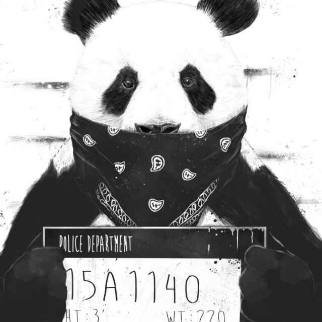 硅酸盐水泥 头像