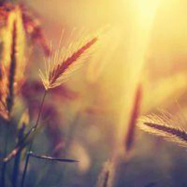 熊阳明·律中人 头像