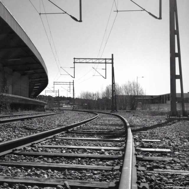 墨尔本，晴 头像