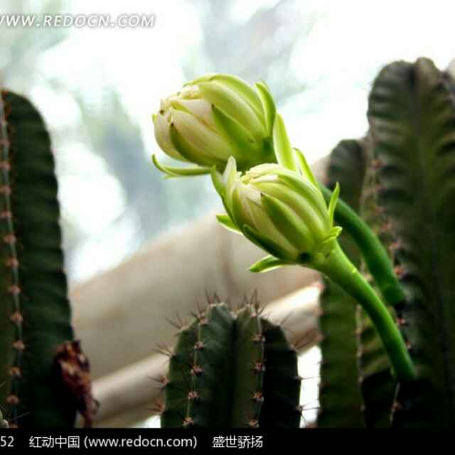 海洋之心-David 头像