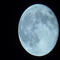 操盘小能手宝宝钱 头像