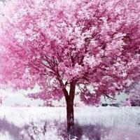 ProcessOn官方 头像