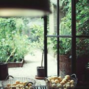 sailingclouds 头像