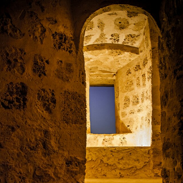 阿里郎撒旦法 头像