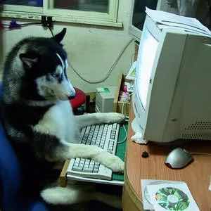 胡祥宁kevin_hu 头像