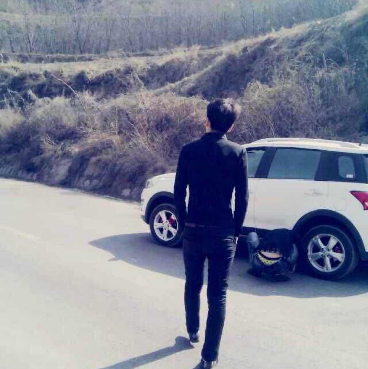 努力奋斗的骆驼 头像