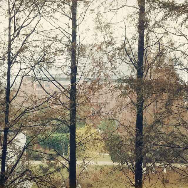 手机压着笔记本 头像