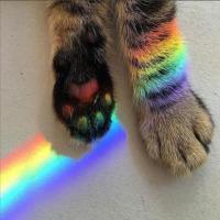 一点都不想毕业 头像