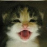 珍妮的咖啡屋 头像