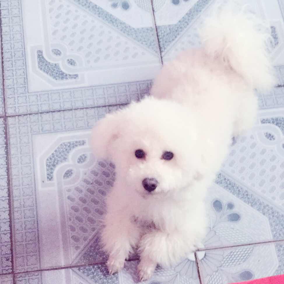 爱 ^_^对的人^_^ 头像