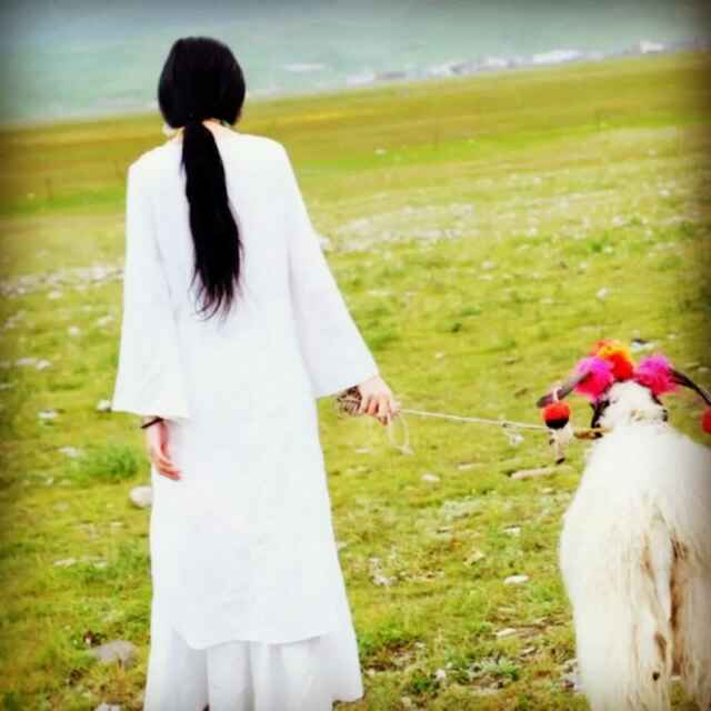 飞鸟与鱼kx 头像