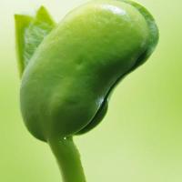 汝南张公子 头像